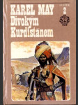 Divokým Kurdistánem - náhled