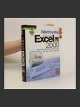 Mistrovství v Microsoft Excel 2000 - náhled