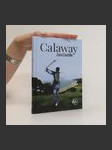 Calaway - náhled