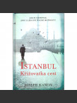 Istanbul. Křižovatka cest (román, politika) - náhled