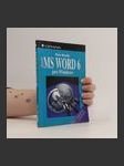 MS Word 6 pro Windows - náhled
