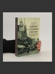 Střípky z českého Chicaga. Edice dokumentů k dějinám Čechů v americkém Chicagu v letech 1848-1918 - náhled