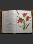 Gartenflora 1895 - náhled