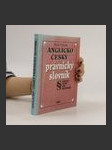 Anglicko-český právnický slovník = English-Czech law dictionary - náhled