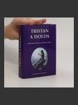 Tristan a Isolda : příběh jednoho kulturního námětu - náhled