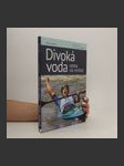 Divoká voda - cesta na vrchol - náhled