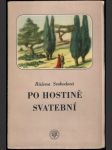 Po hostině svatební - náhled