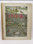 Potok: Pravdivé vypsání mnoha příběhů ze života hmyzu, rostlin a ryb - náhled