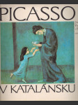 Picasso v katalánsku - náhled