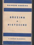 Březina a Nietzsche - Essaye - náhled