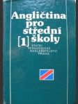 Angličtina pro střední školy 1 - náhled