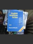 English Grammar In Use - náhled