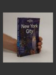 New York City - náhled