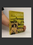 Goethe. Eine Bildbiographie - náhled