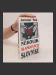 Několik slangových slovníků - náhled