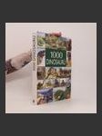 1000 dinosaurů - náhled