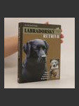 Labradorský retrívr - náhled