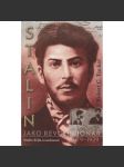 Stalin jako revolucionář, 1879–1929: Studie dějin a osobností - náhled