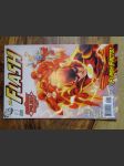 The Flash: First issue: Secret files and origins 2010 - náhled