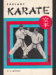 Základy karate - náhled