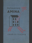 Pučálkovic Amina - náhled
