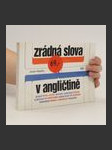 Zrádná slova v angličtině - náhled