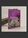 Orchideje - náhled