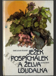 Ježek Pospíchálek a želva Loudalka - náhled