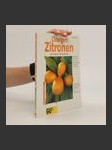 Orangen, Zitronen und andere Citruspflanzen - náhled