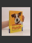 Hunde - náhled