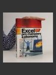 Microsoft Excel pro manažery a ekonomy : pro verze 2000, 2002 a 2003 - náhled