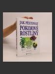 Jak pěstovat pokojové květiny - náhled