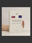 More effectiveness of the Decision-making processes in the European Union - náhled