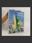 Going Public: Public Architecture, Urbanism and Interventions - náhled