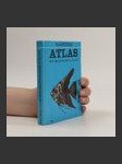 Kapesní atlas ryb, obojživelníků a plazů - náhled