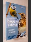 Ptáci našich zahrad v životní velikosti - náhled