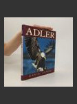 Adler - náhled