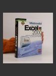 Mistrovství v Microsoft Excel 2000 - náhled