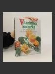 Vitaminová kuchařka. Více než 380 receptů na chutná jídla plná vitaminů - náhled