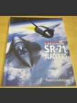 SR-71 Blackbird - náhled