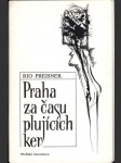 Praha za času plujících ker - náhled