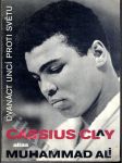Cassius Clay alias Muhammad Ali - Dvanáct uncí proti světu - náhled