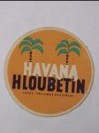 Havana hloubětín - náhled