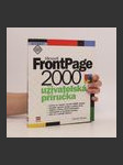 Microsoft FrontPage 2000 : uživatelská příručka - náhled