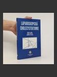 Laparoskopická cholecystektomie - náhled