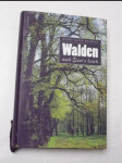 Walden aneb život v lesích - náhled