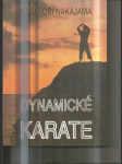 Dynamické karate - náhled