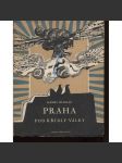 Praha pod křídly války (6x litografie Josef Leisler) - náhled