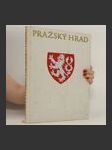 Pražský hrad - náhled