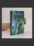 Pátračka Gilda a Mrtvá schránka - náhled